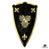 Charles V Shield