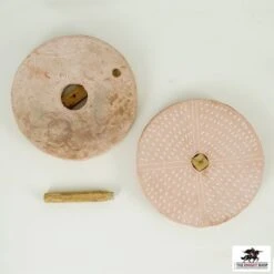 Rotary Hand Quern (Grinding Stone) -Knight Equipment Store ah3981c 3