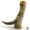 Drinking Horn On Horn Stand