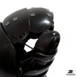 SPES Lobster Heavy HEMA Full Thumb Sparring Gloves -Knight Equipment Store lobster full thumb heavy gloves 2