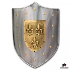 Fleur De Lys Coat Of Arms Shield