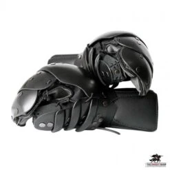 SPES Lobster Heavy HEMA Sparring Gloves